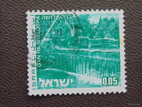 Израиль. Флора.
