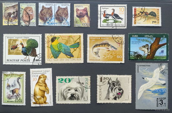 Марки. Сборный лот на тему "Фауна" (16 марок)