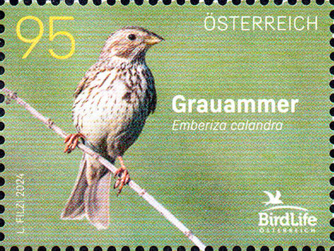Птицы Австрия 2024 год серия из 1 марки
