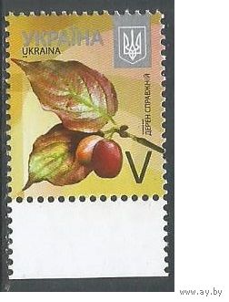 Украина. 8-й стандарт. Кизил. 2015г. Mi#1500.