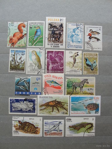 Продажа коллекции с 1 рубля! Фауна на почтовых марках мира.