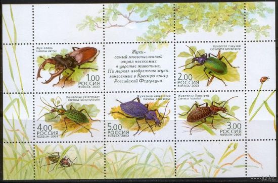 Марки - Фауна Насекомые Жуки. Малый лист**. Россия. 2003 г.1571