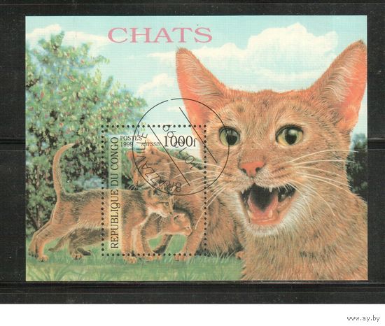 Конго-1999,(Мих.Бл.139)  гаш., Фауна, Кошки