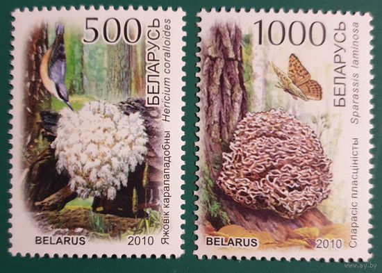 2010 Красная книга Республики Беларусь. Грибы