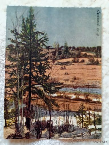 1957. Соколов. Елка