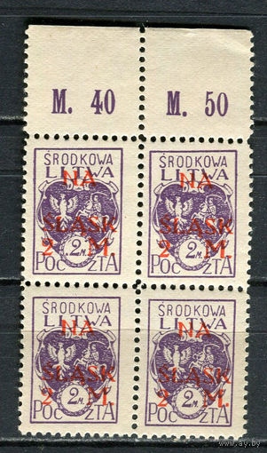 Центральная Литва - 1921 - В фонд референдума по Силезии. Надпечатка NA SLASK 2M на 2M - (кварт) - [Mi.25A] - 1 марка. MNH.  (Лот 28JN)-T4P1