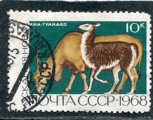 СССР 1968.. Заповедник Аскания Нова. Канна и гуанако