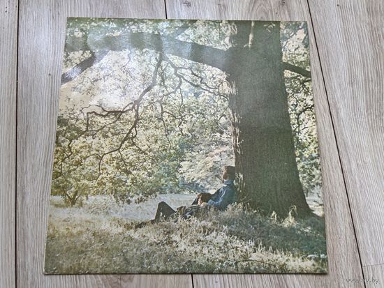Виниловая пластинка Yoko Ono - Yoko Ono / Plastic Ono Band 1970 UK