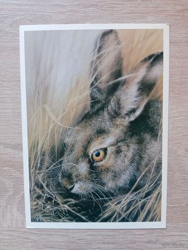 Исаков 1989 чистая