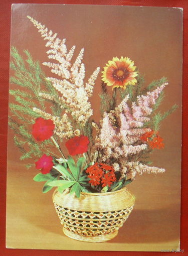 Цветы. Чистая. 1982 года. Круцко. 642.