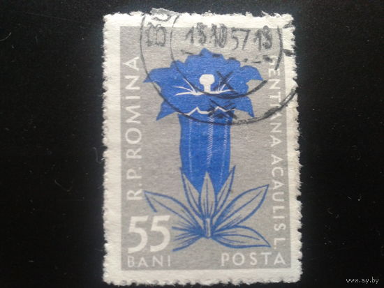 Румыния 1957 цветы