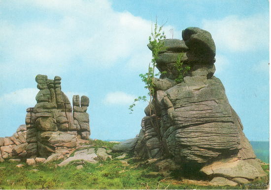 Открытка, ХХ в. Европа. Чистая.