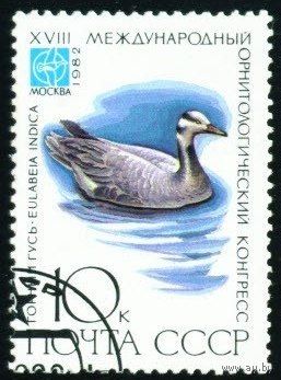 Птицы СССР 1982 год 1 марка