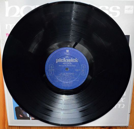 Bee Jees - In The Beginning The Early Day's vol.1 LP (винил)