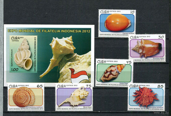 Куба - 2012 - Моллюски и ракушка - [Mi. 5588-5593 bl. 292] - 6 марок и 1 блок. MNH.  (Лот 83Gz)-T4P38