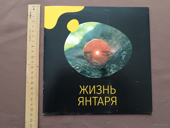 Красочный буклет-книга Жизнь янтаря (3691)