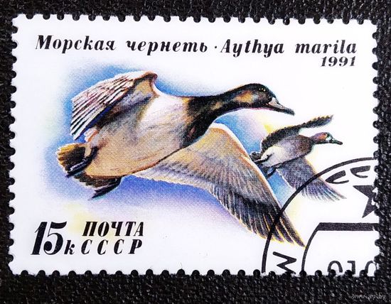 Марка СССР 1991 год Утки
