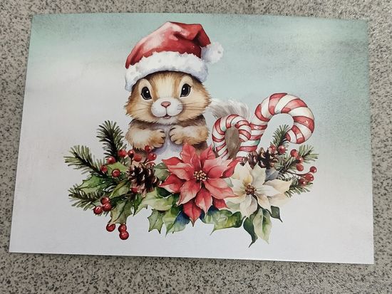 Открытка белочка в новогоднем колпаке, остролист, шишки. Новый год. Чистая