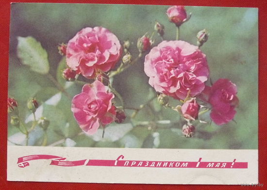 1 мая! Чистая. 1968 года. Дергилева. 250.