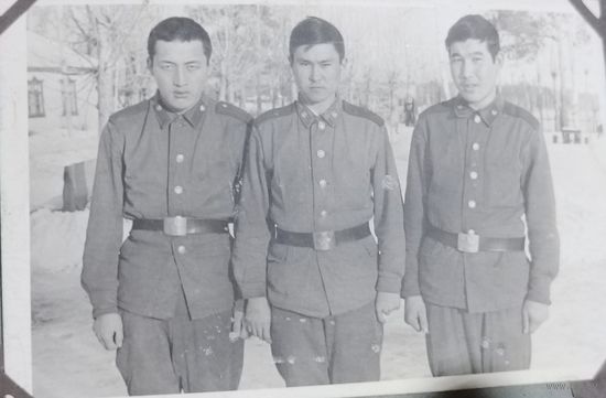 Фото в коллекцию