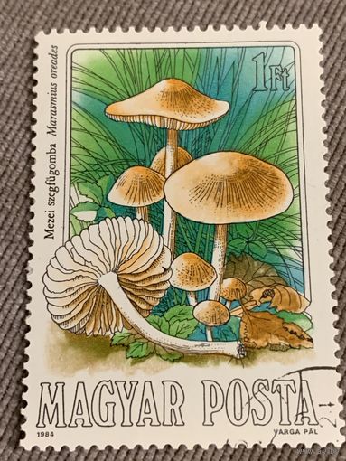 Венгрия 1984. Грибы. Marasmius oreades. Марка из серии