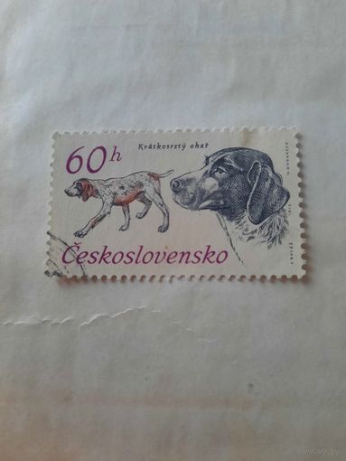Чехословакия 1973. Породы собак