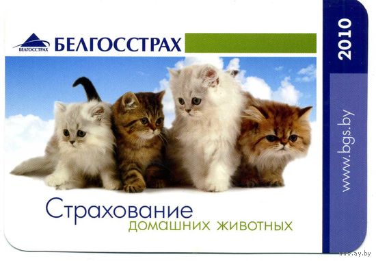 Календарик карманный Страхование Белгосстрах 2010