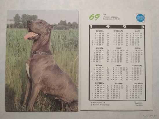 Карманный календарик. Собака.1993 год