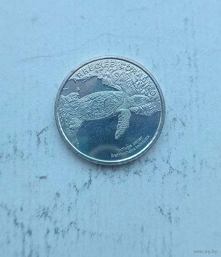 Коста Рика 50 колон 2023 год  Морская черепаха Хоксбилл