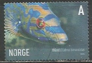 Норвегия. Рыбы. Пятнистый губан. 2006г. Mi#1590.