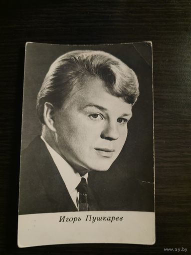 Артисты Пушкарев