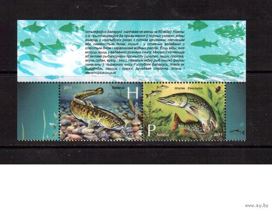 Беларусь-2011(Мих.870-871) .  с полем, Рыбалка