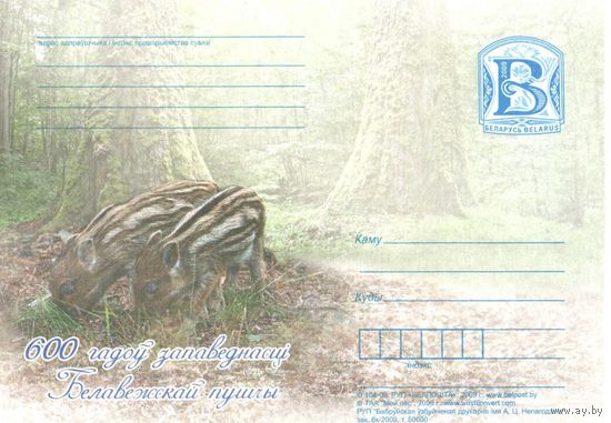 ПК N 37, Беларусь,  600 лет Беловежской пуще. Дикие поросята, з.6к-2009