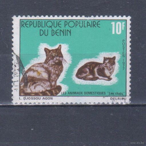 [745] Бенин 1977. Фауна.Домашние кошки. Гашеная марка.