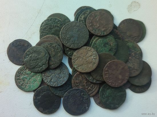 50 неплохих боратинок, без гнилушек