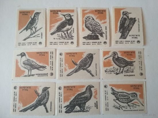 Спичечные этикетки ф.Туринск. Берегите птиц. 1972 год