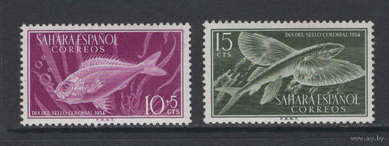 Испанская Сахара 1954** Морская фауна