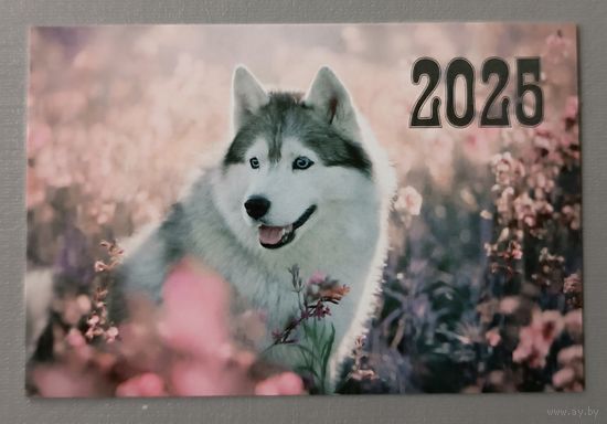 Собака. Календарик, 2025