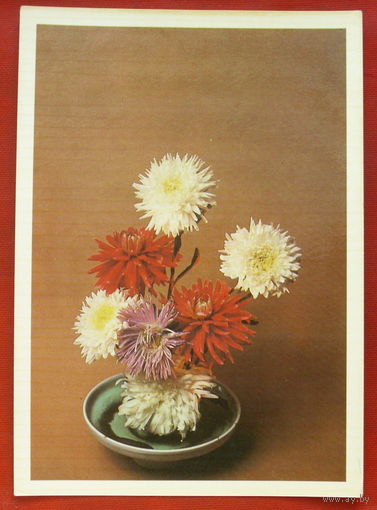 Композиция из цветов. Подписанная. 1983 года. 477.