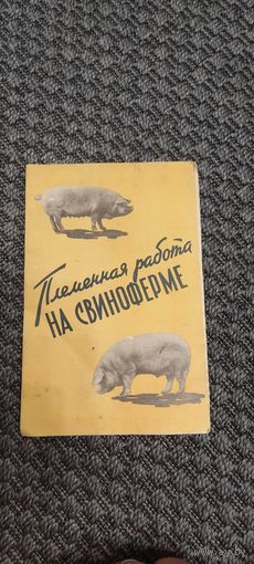 Племенная работа на свиноферме. Москва 1958 год.