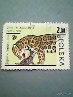 Польша. Ягуар. 1978г. гашеная