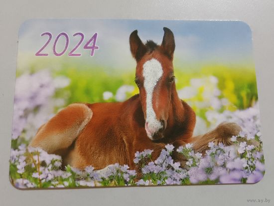 Карманный календарик. Лошадь. 2024 год