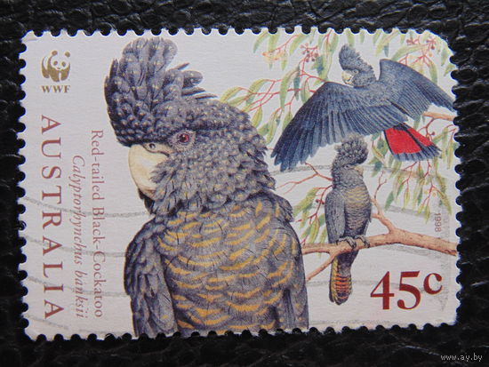 Австралия 1998 г. Птицы.