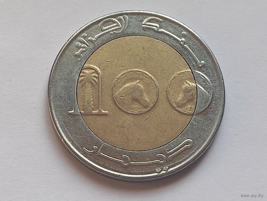 Алжир 100 динаров 2016 г. Арабский скакун.