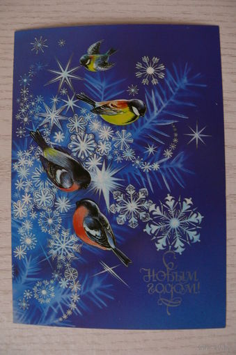 Коробова Н., С Новым годом! 1983, 1984, чистая, ДМПК (снегири, синицы).