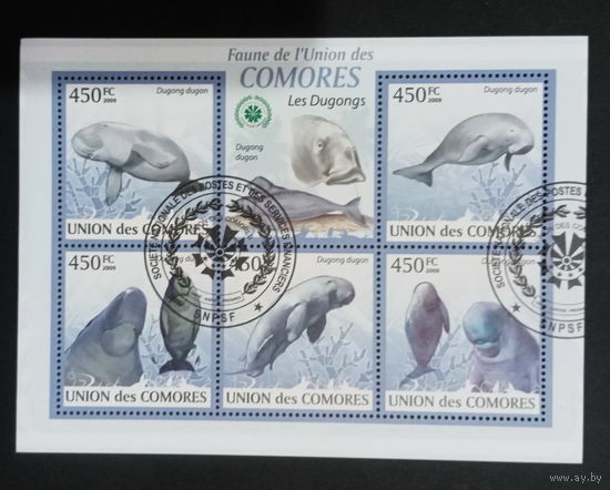 ЛИСТ ФАУНА рыбы морские обитатели  СТО