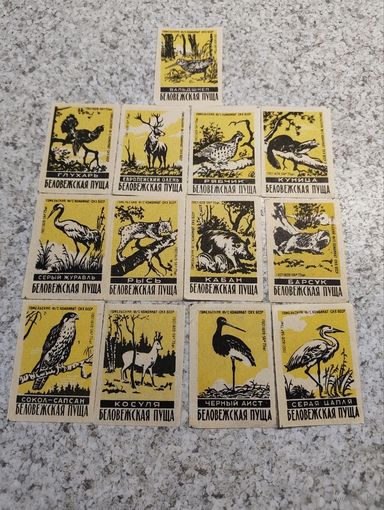 Спичечные этикетки