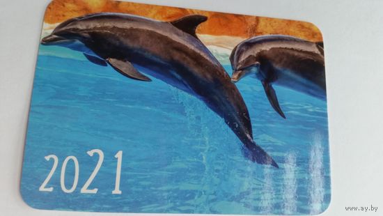 Календарик.Дельфины.2021 год.