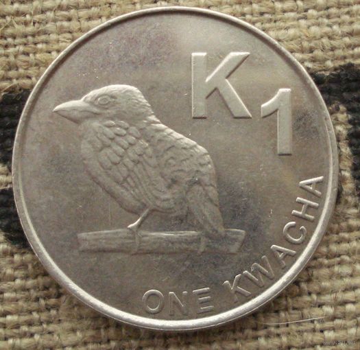 1 квача 2016 Замбия