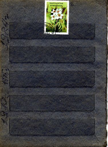 ТУРКМЕНИСТАН, 1994,  ФЛОРА ,  серия  1м  гашеная